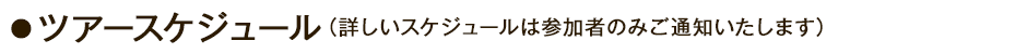 イベントスケジュール (詳しいスケジュールは参加者のみご通知いたします)